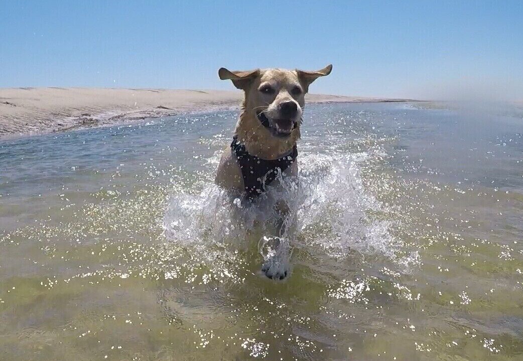 Photo of Others in Bretteville-sur-Ay