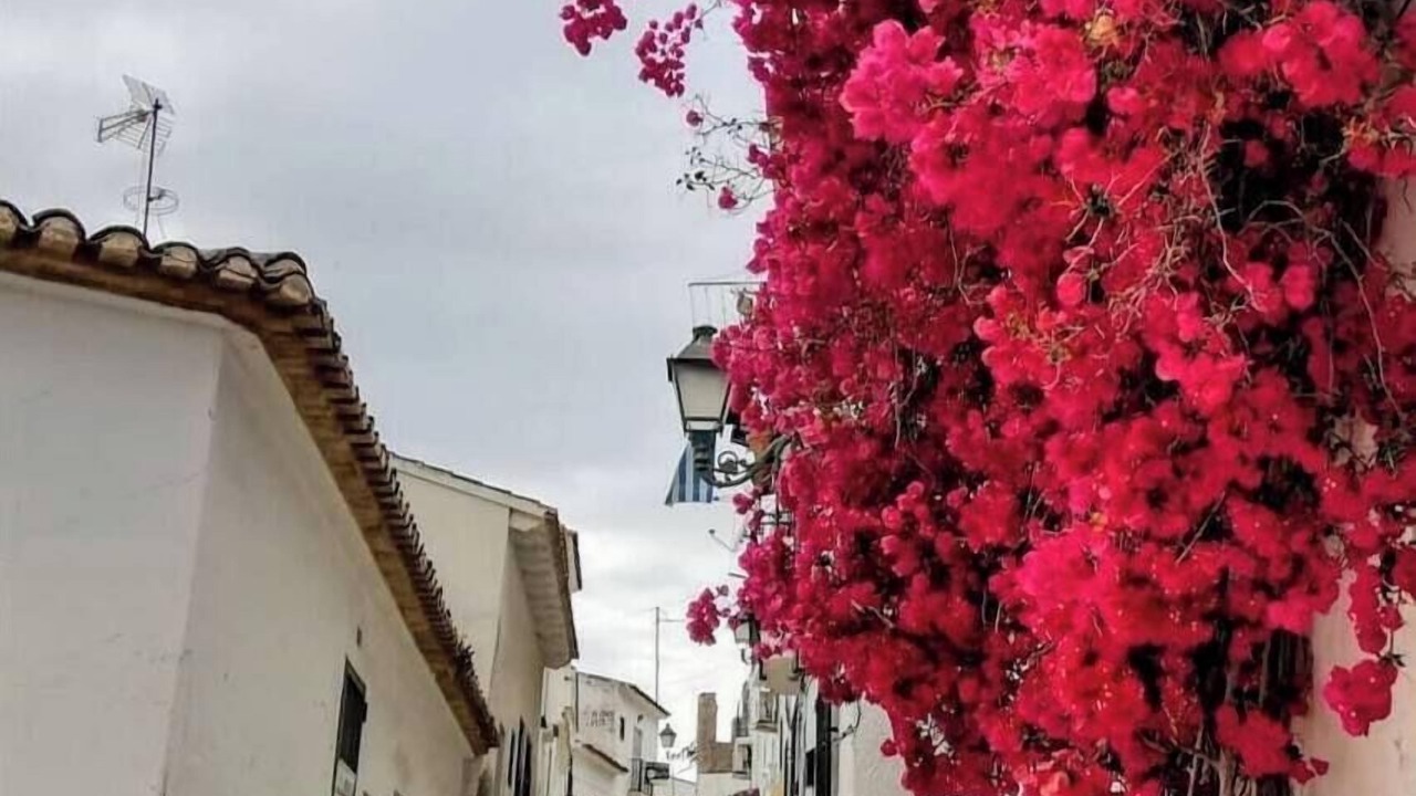 Photo of Outdoor in Altea