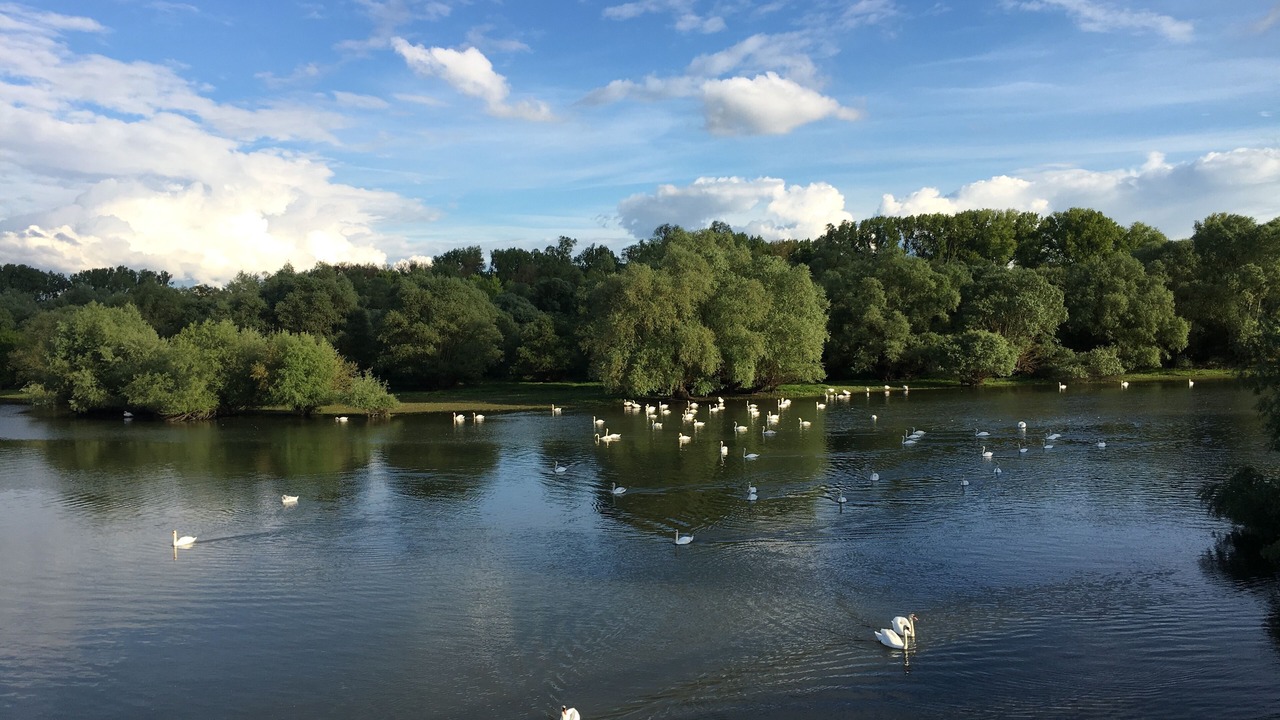 Photo of Others in Munchhausen