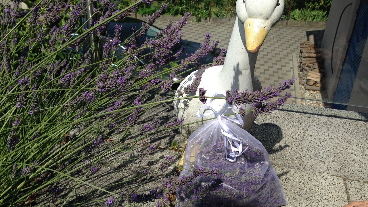 Photo of Outdoor in Munchhausen