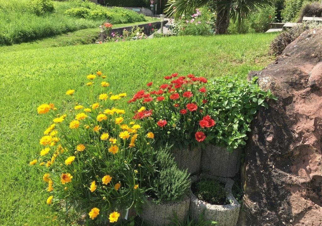 Photo of Outdoor in Munchhausen