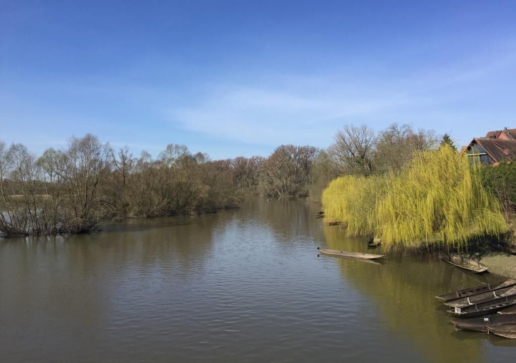 Photo of Others in Munchhausen