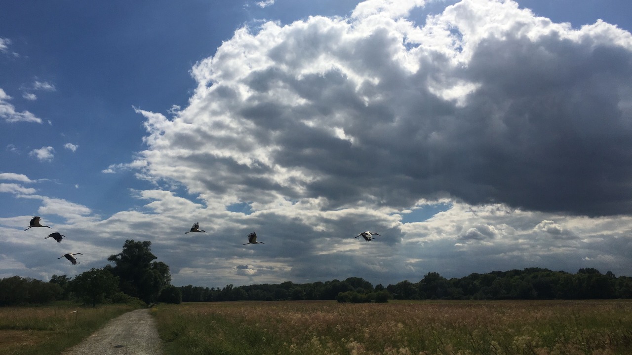 Photo of Others in Munchhausen