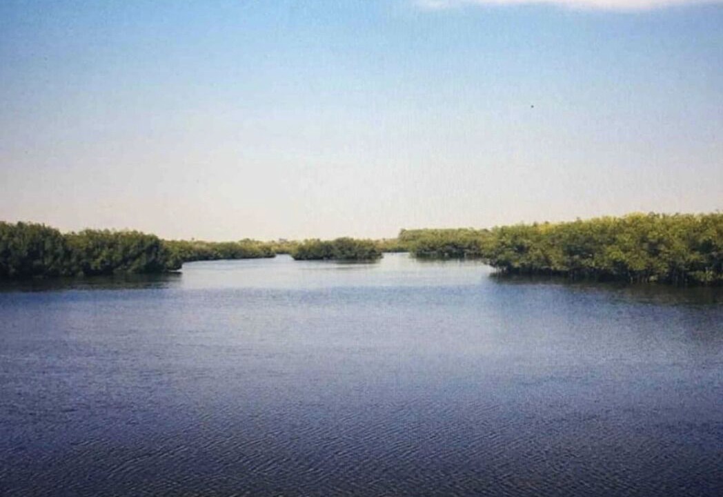 Photo of Others in Tampa