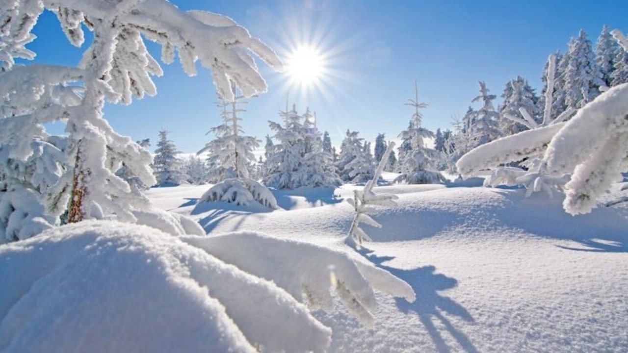 Photo of Others in Hidden Valley