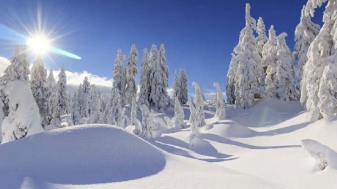 Photo of Others in Hidden Valley