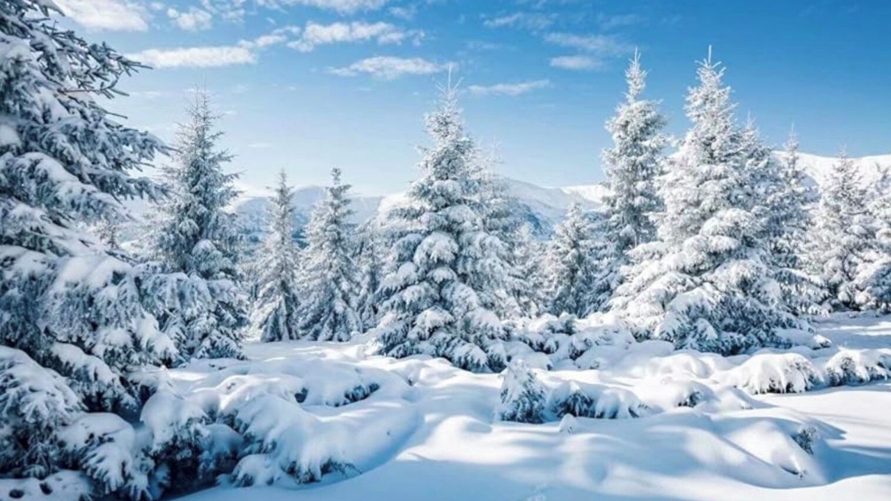 Photo of Others in Hidden Valley