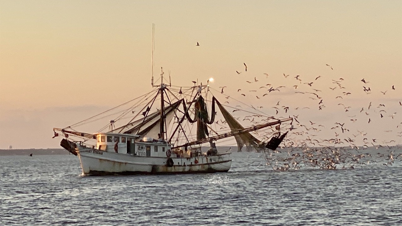 Photo of Others in Amelia City