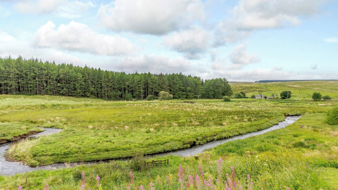 Photo of Others in Hexham