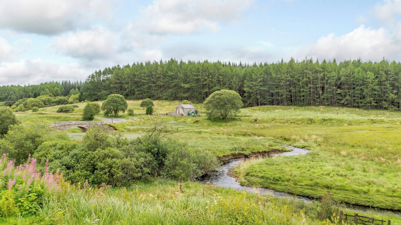 Photo of Others in Hexham