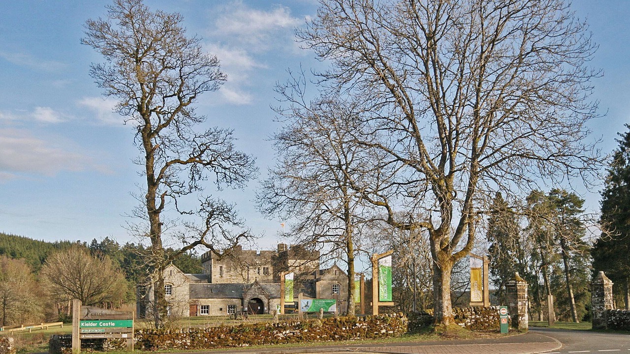 Photo of Others in Hexham