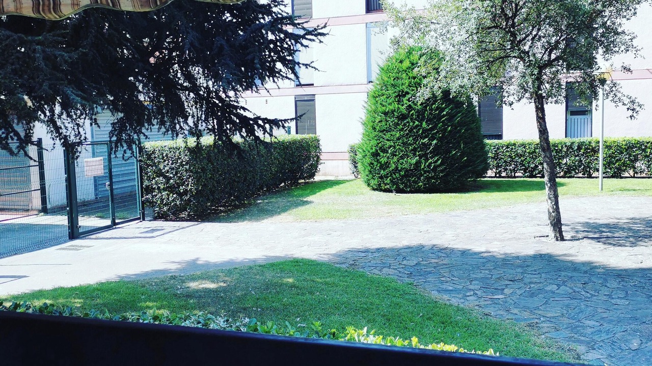 Photo of Outdoor in Saint-Cyprien Plage