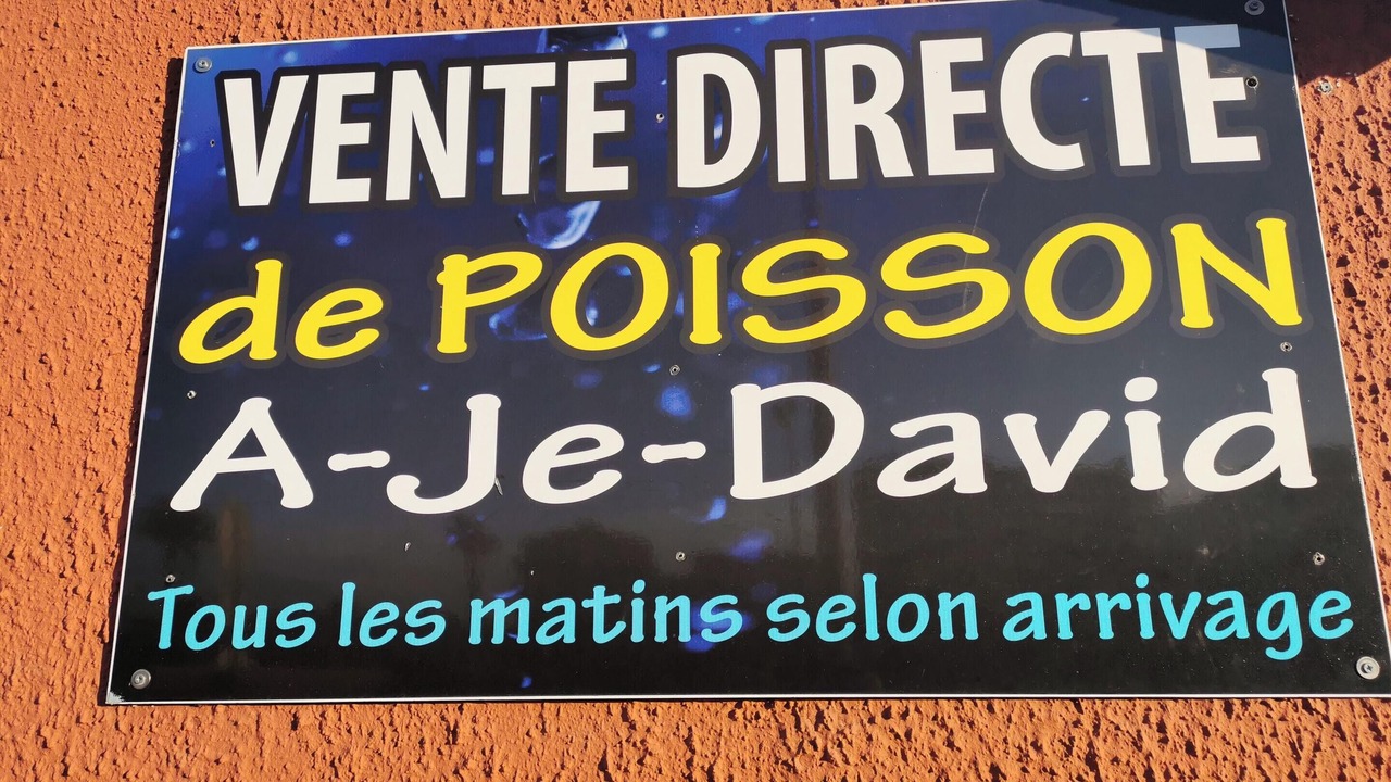 Photo of Others in Saint-Cyprien Plage