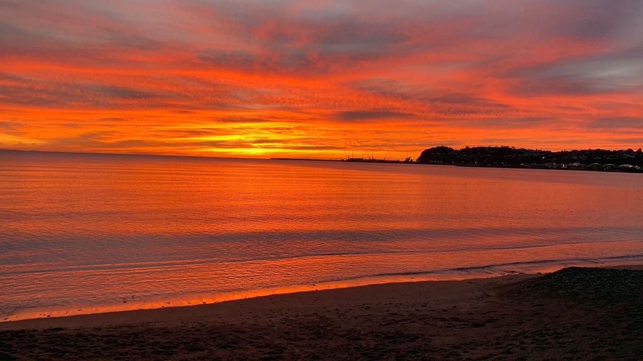 Photo of Others in Westshore