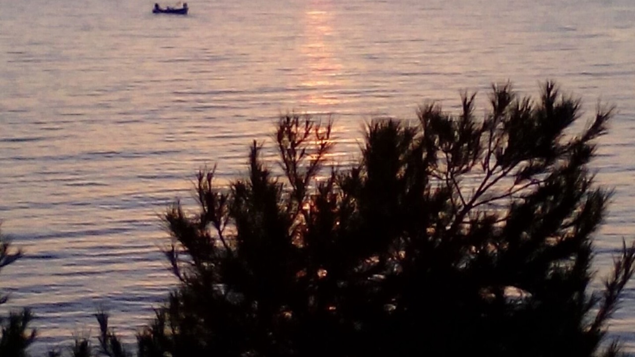 Photo of Others in L'Ampolla