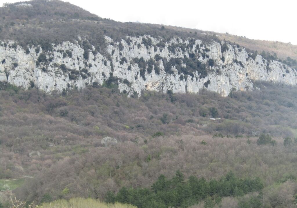Photo of Others in Grabri