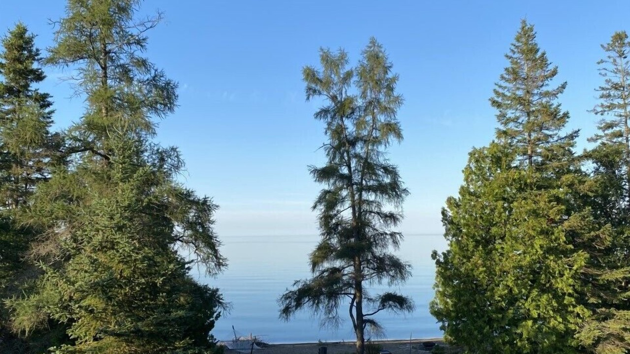 Photo of Others in Providence Bay