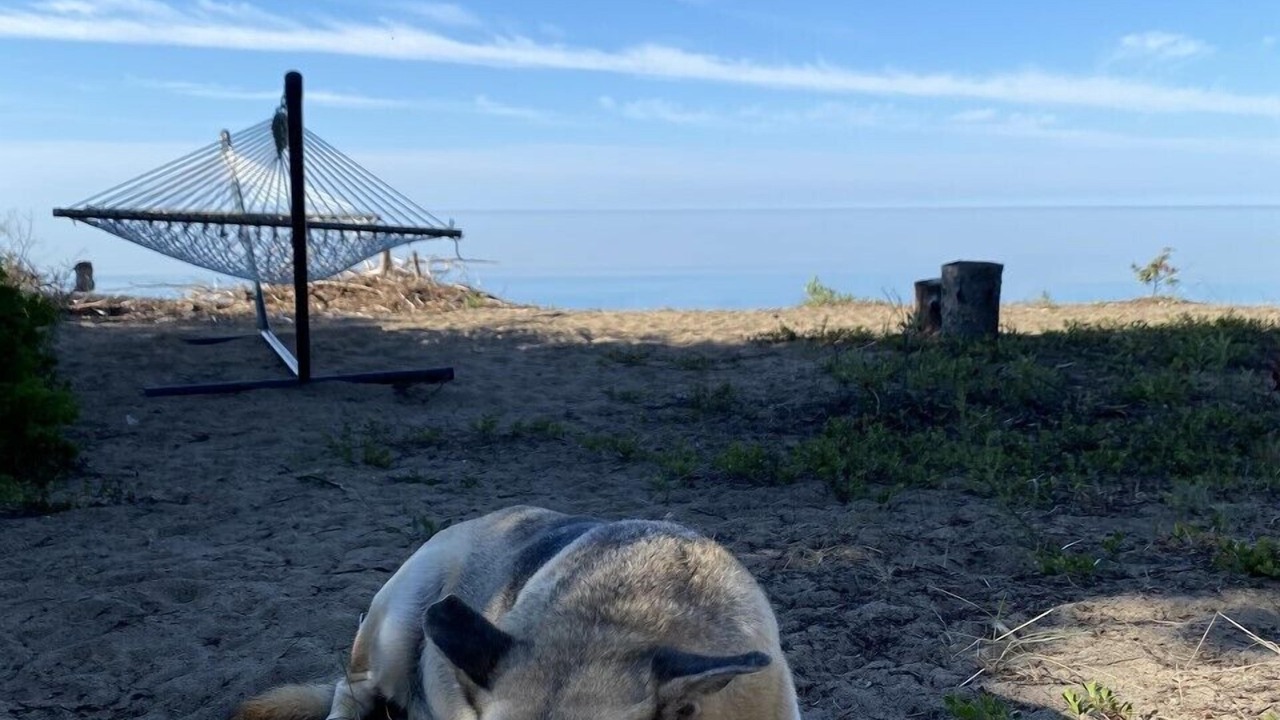 Photo of Others in Providence Bay