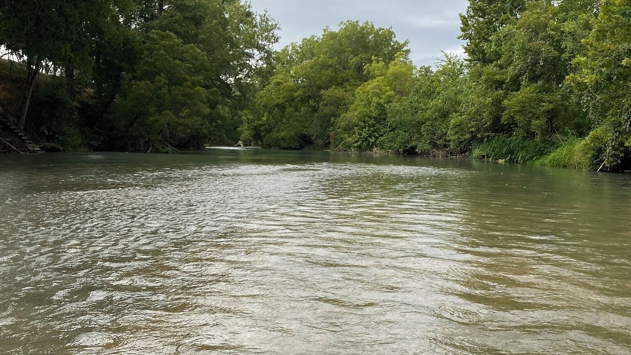 Photo of Others in Martindale