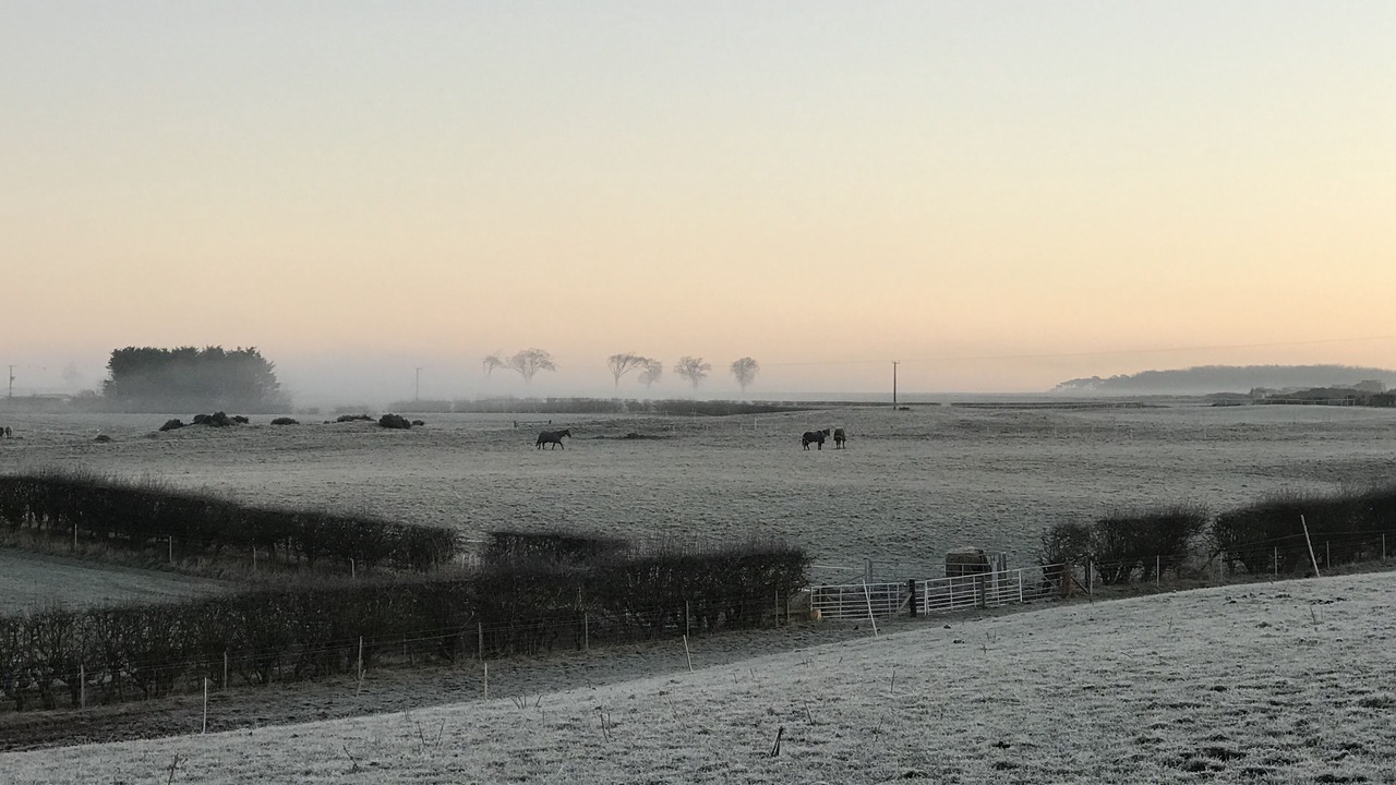 Photo of Others in East Linton