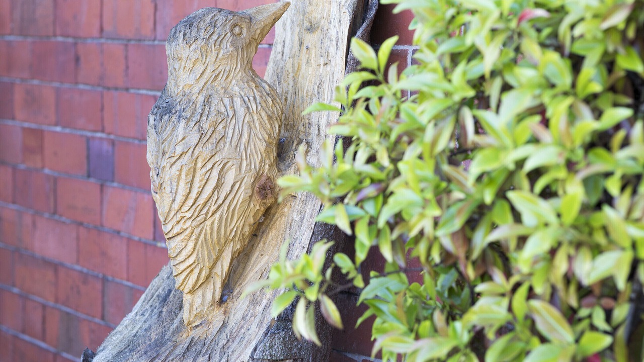 Photo of Outdoor in Llangollen