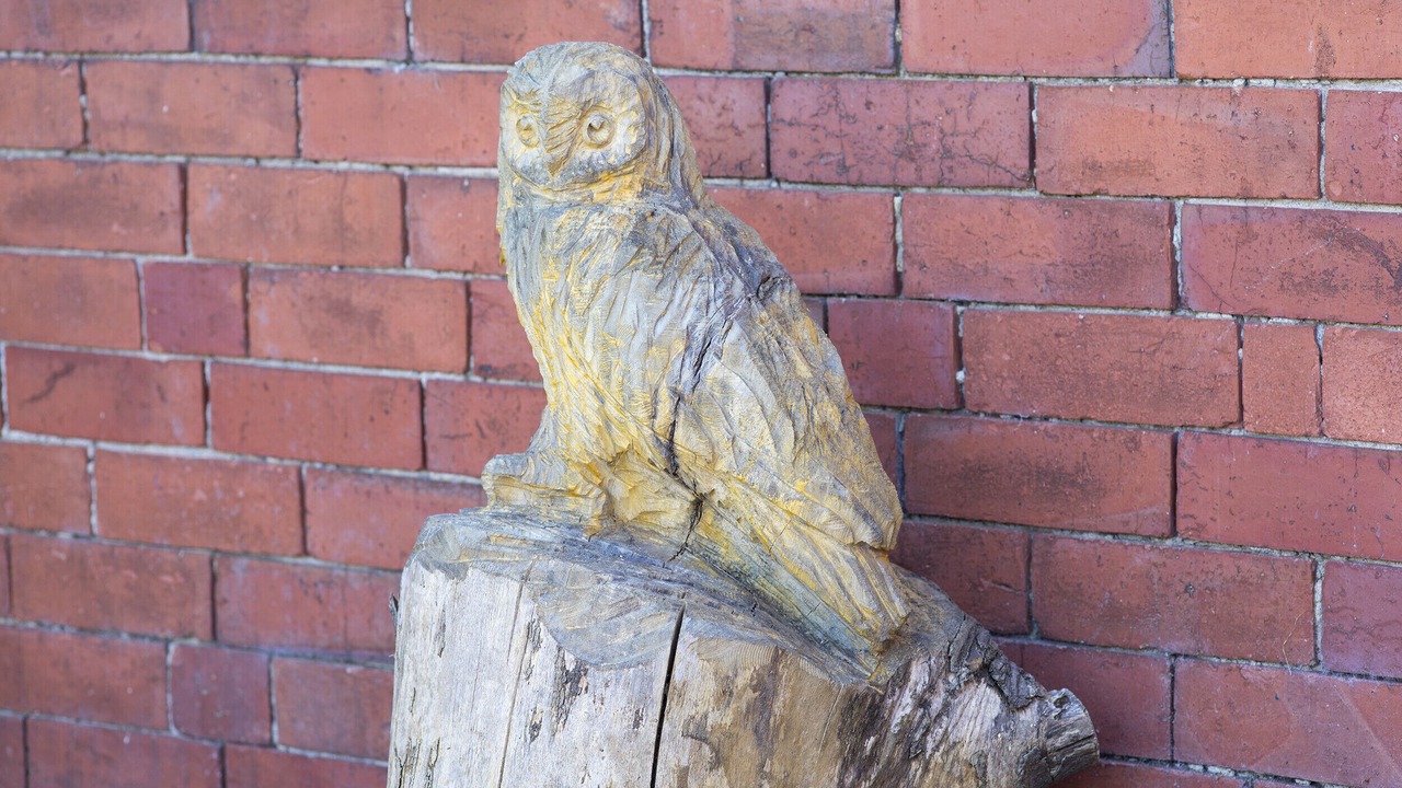 Photo of Outdoor in Llangollen