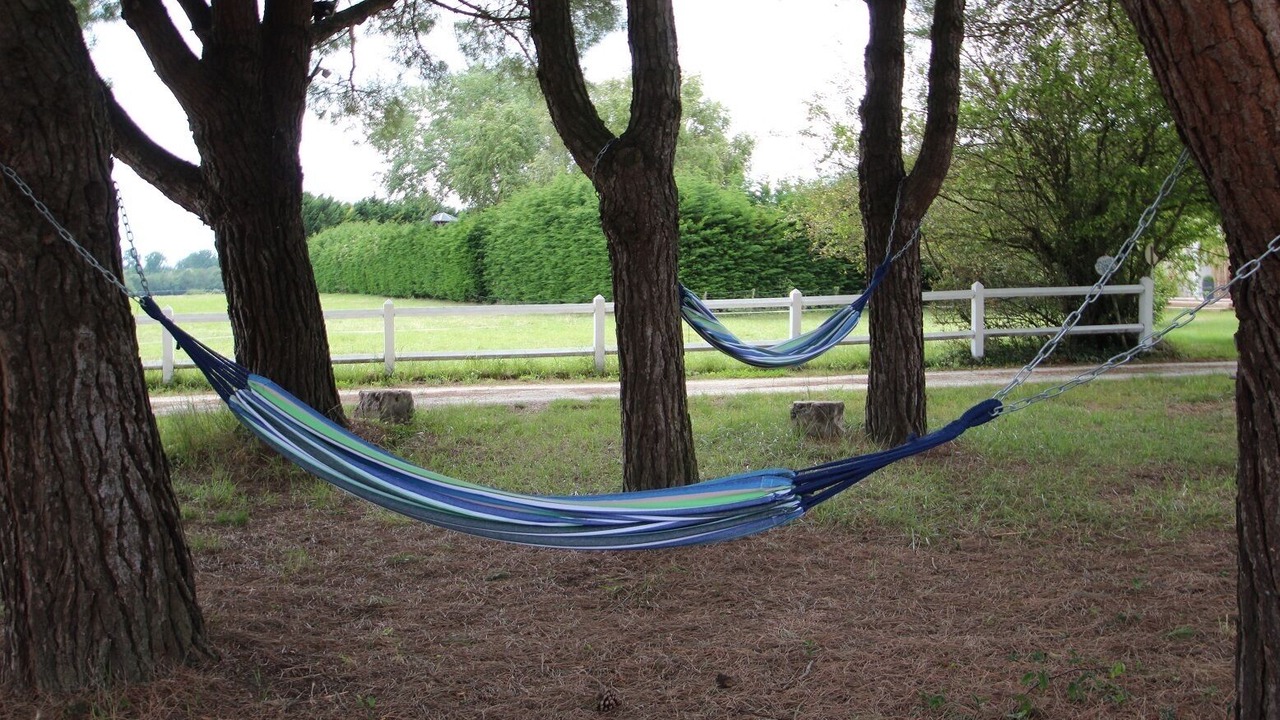 Photo of Outdoor in Arvert