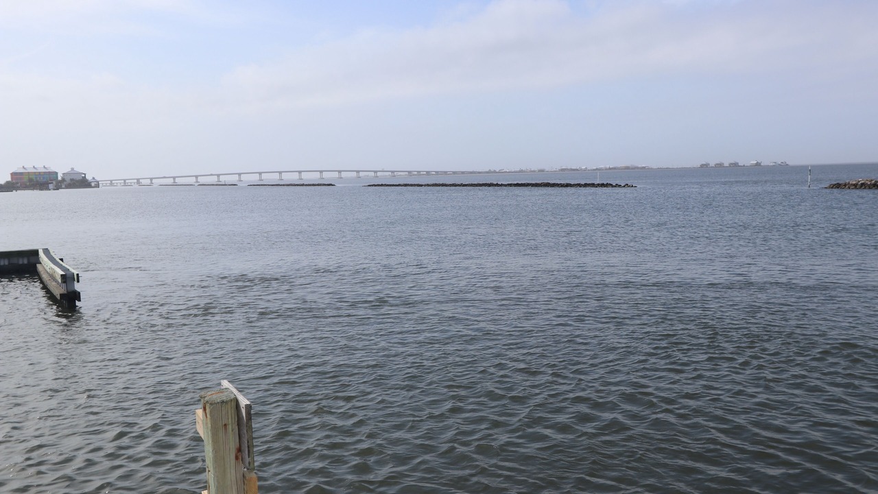 Photo of Others in Grand Isle