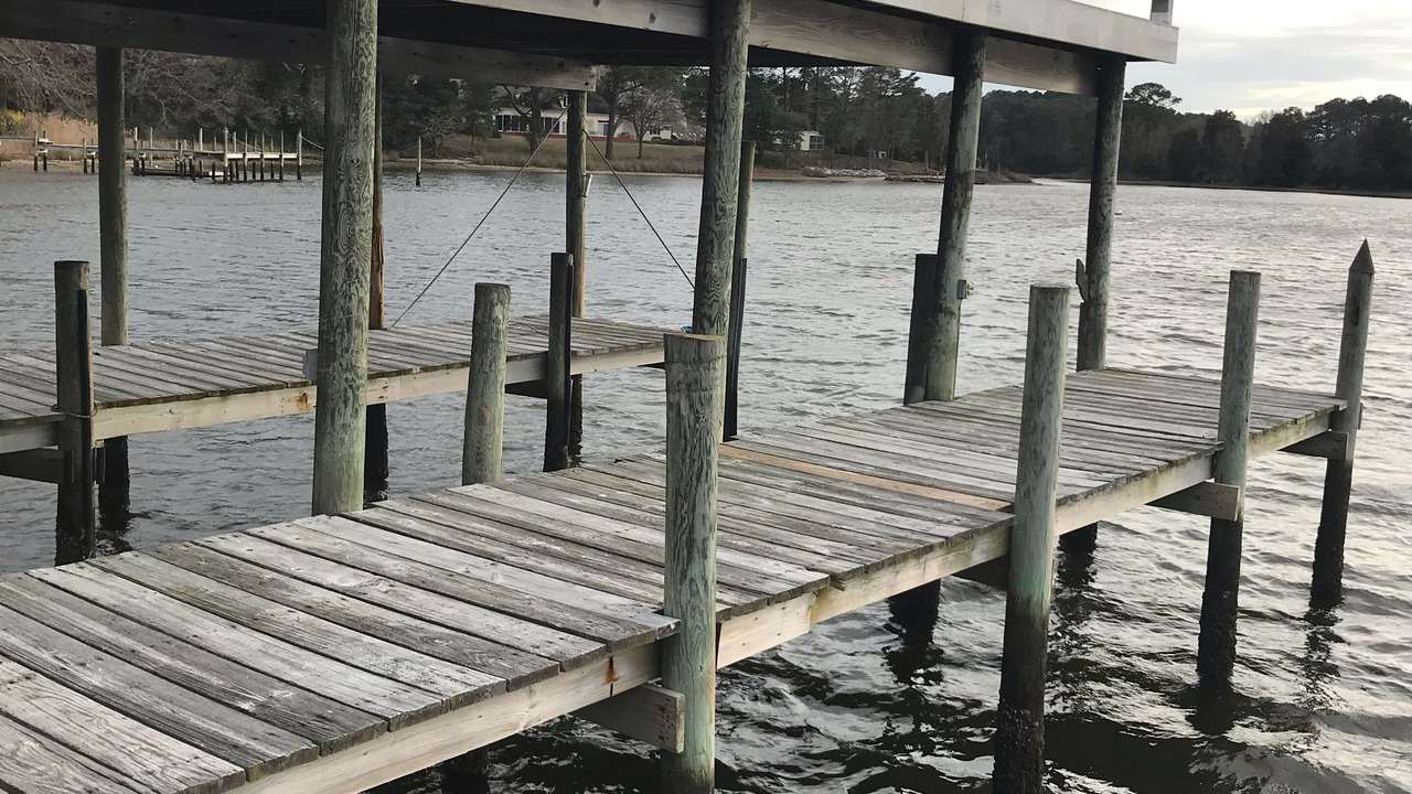 Photo of Others in Tasley