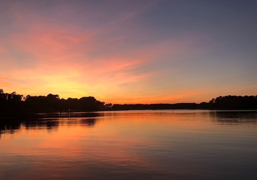 Photo of Others in Tasley