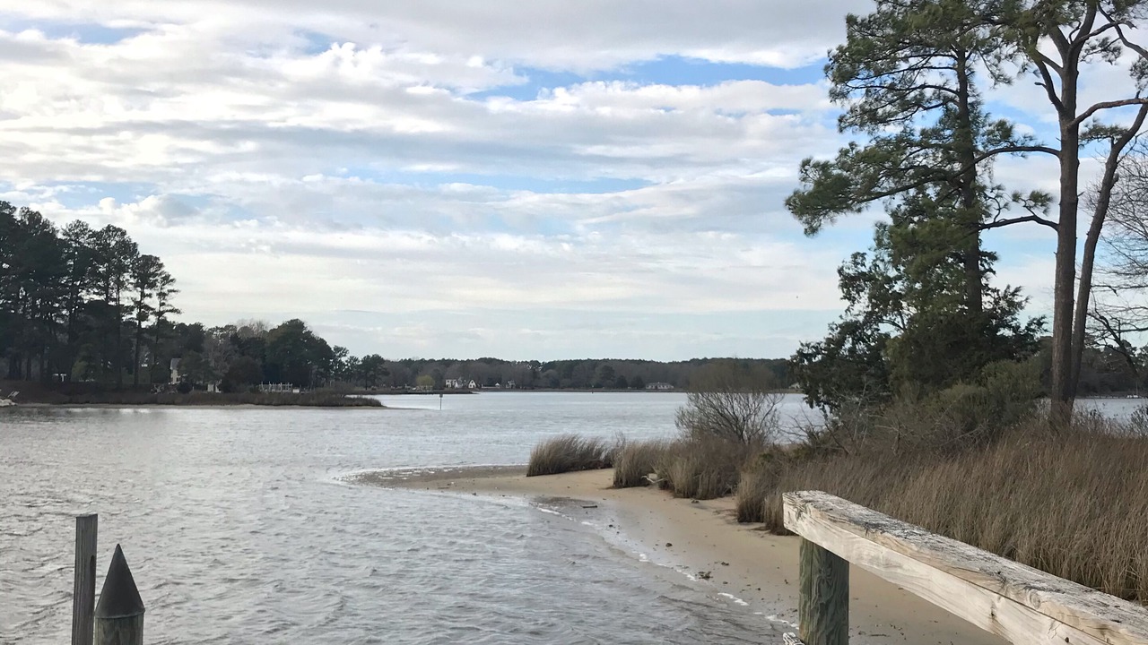 Photo of Others in Tasley