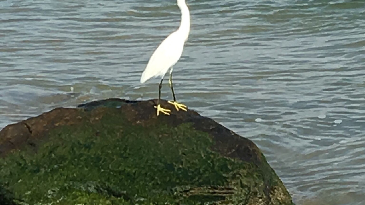 Photo of Others in Corpus Christi