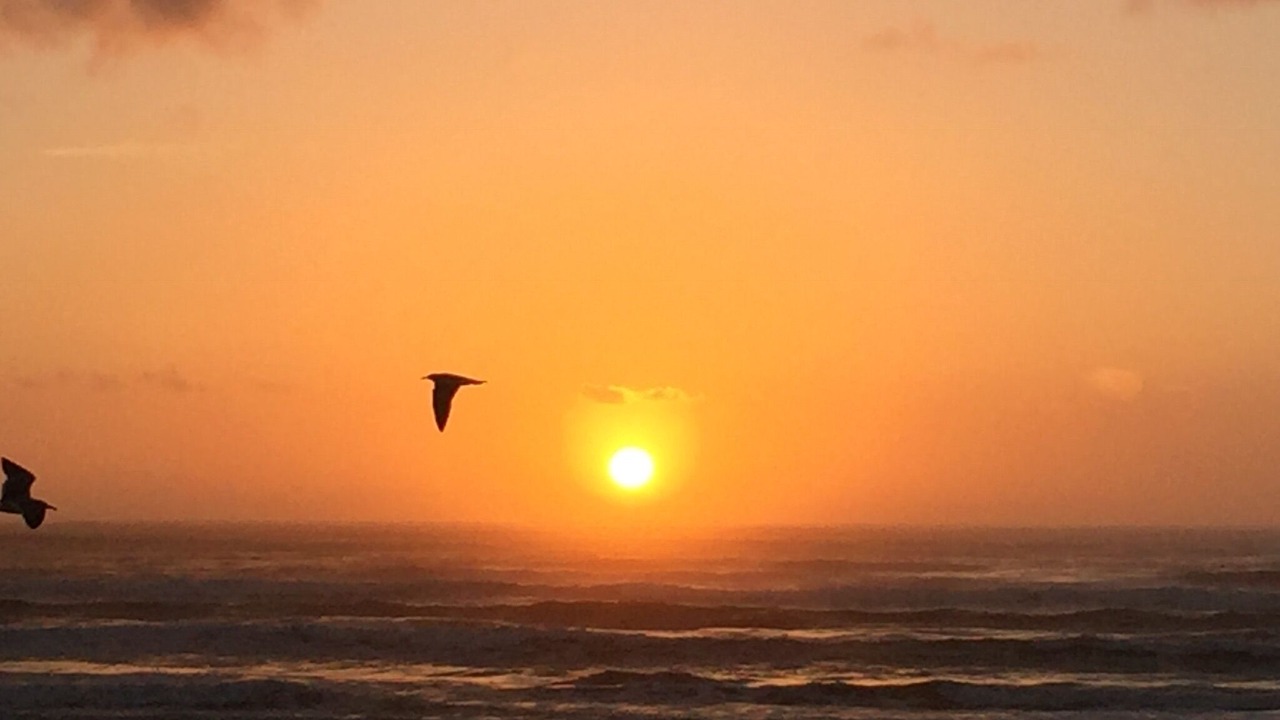 Photo of Others in Corpus Christi