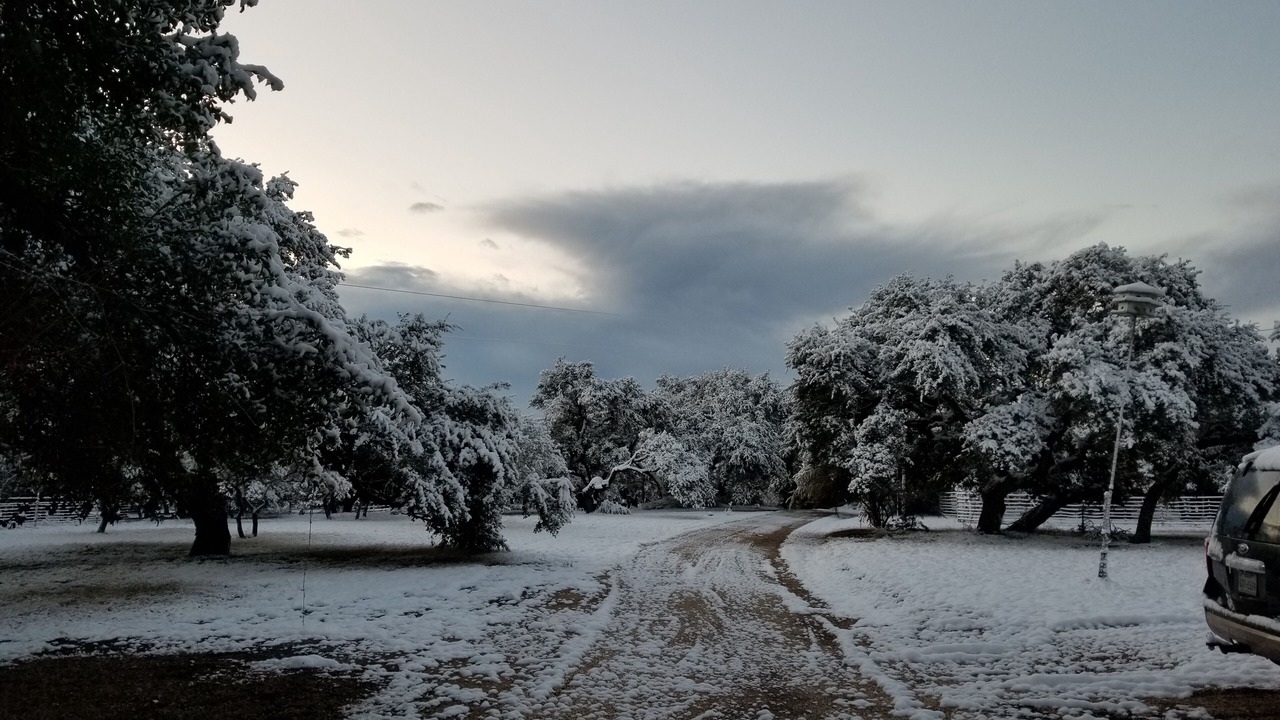 Photo of Others in Boerne
