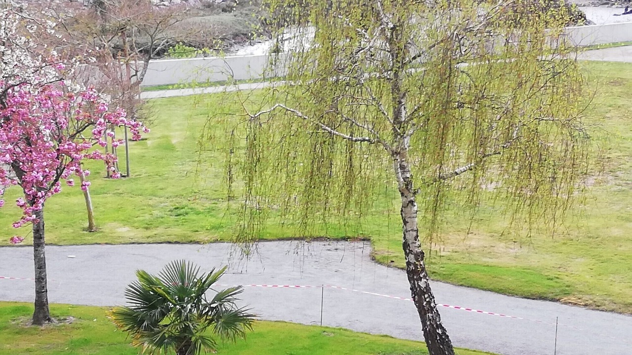 Photo of Outdoor in Guerande