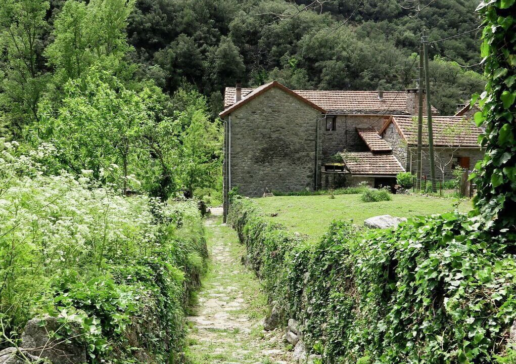 Photo of Others in Sainte-Marguerite-Lafigere