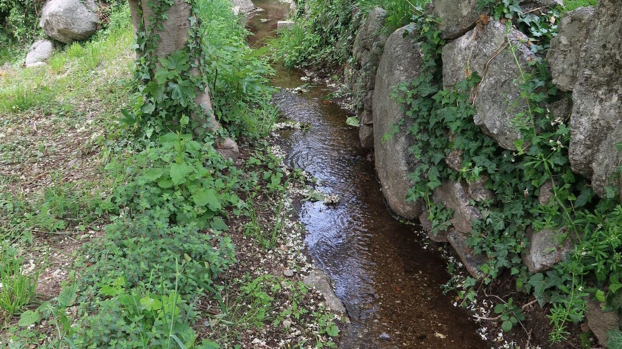 Photo of Others in Sainte-Marguerite-Lafigere