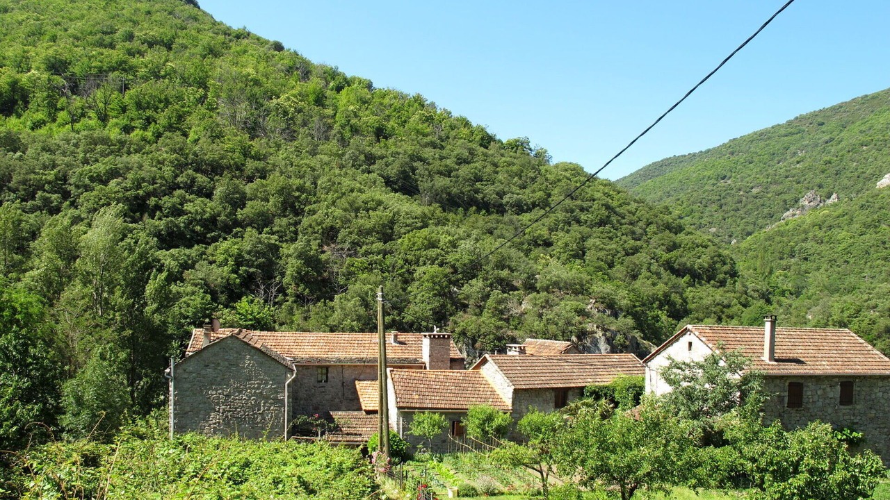 Photo of Others in Sainte-Marguerite-Lafigere
