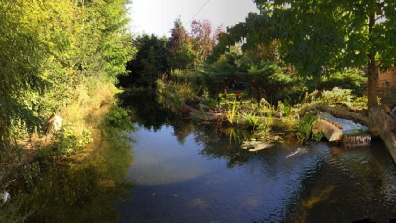 Photo of Outdoor in Saint-Cyr-en-Val