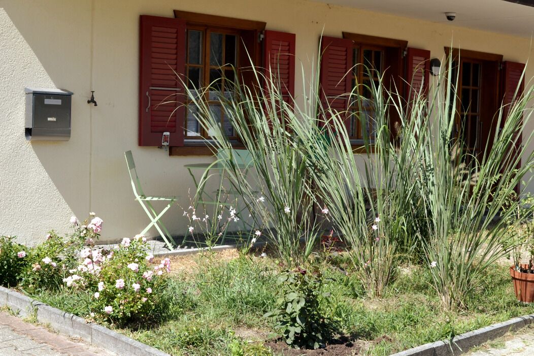 Photo of Outdoor in Leuk