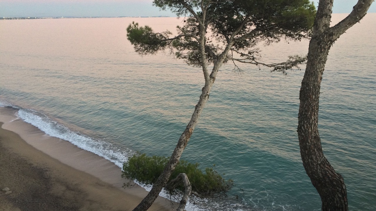 Photo of Others in Miami Platja