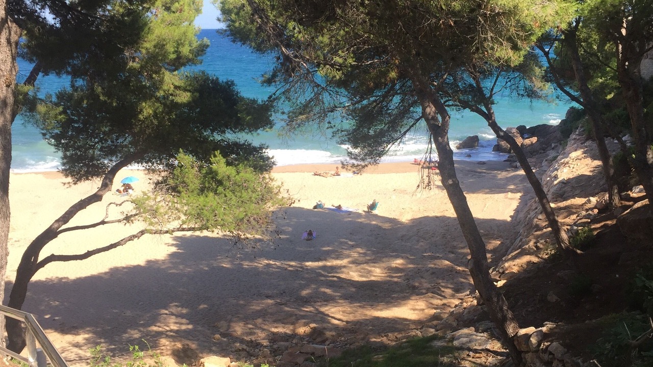 Photo of Others in Miami Platja
