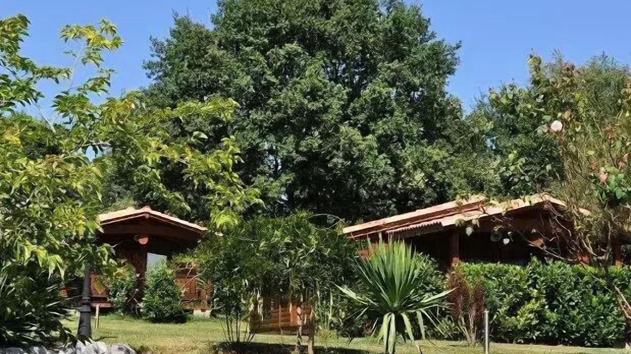 Photo of Outdoor in Montrejeau