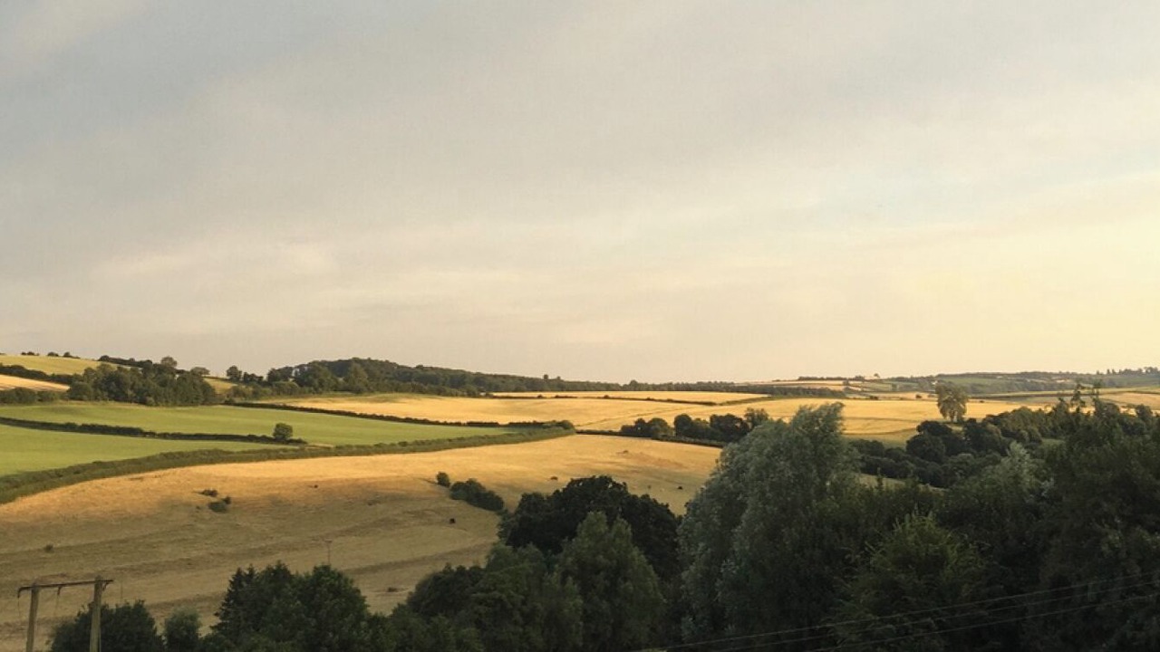 Photo of Others in Wellow