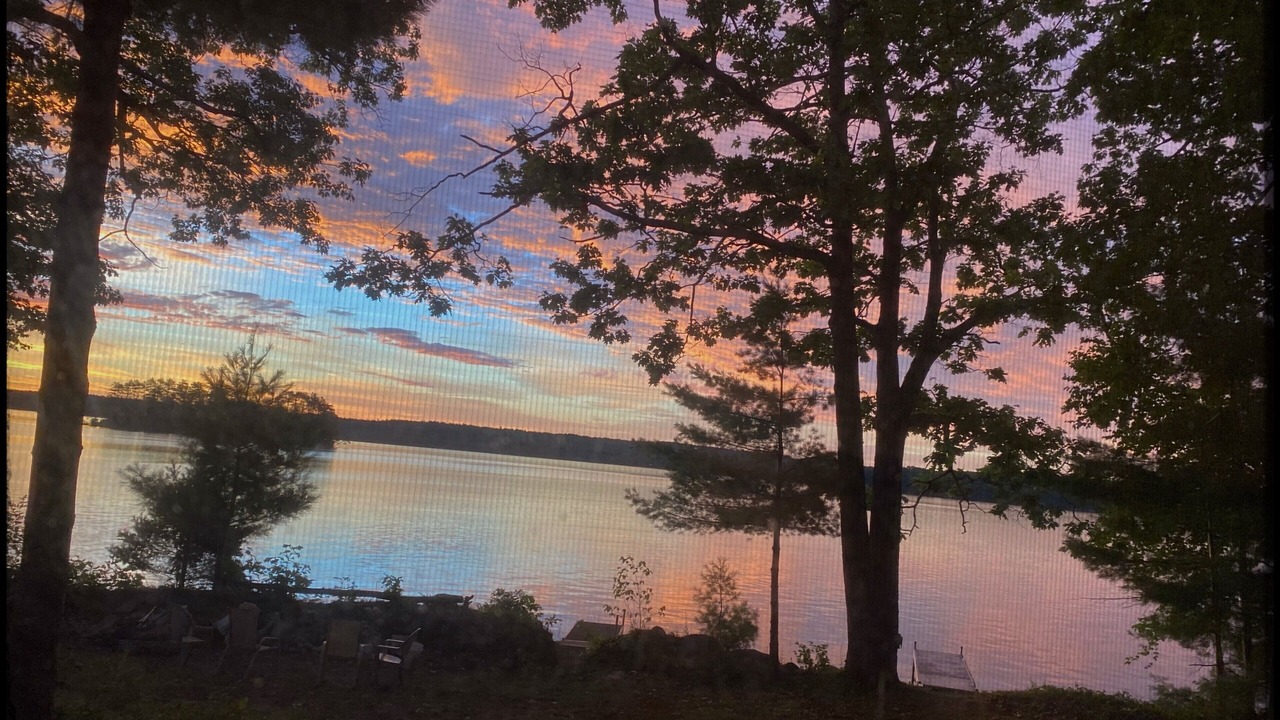 Photo of Others in Belgrade