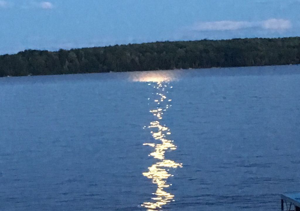 Photo of Others in Belgrade