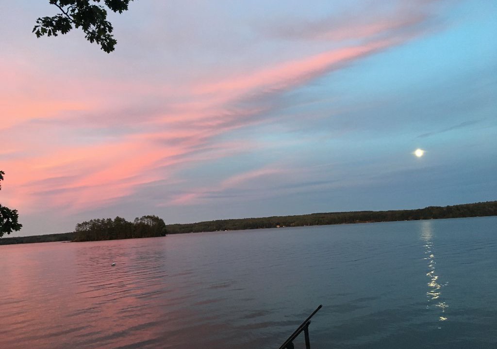 Photo of Others in Belgrade