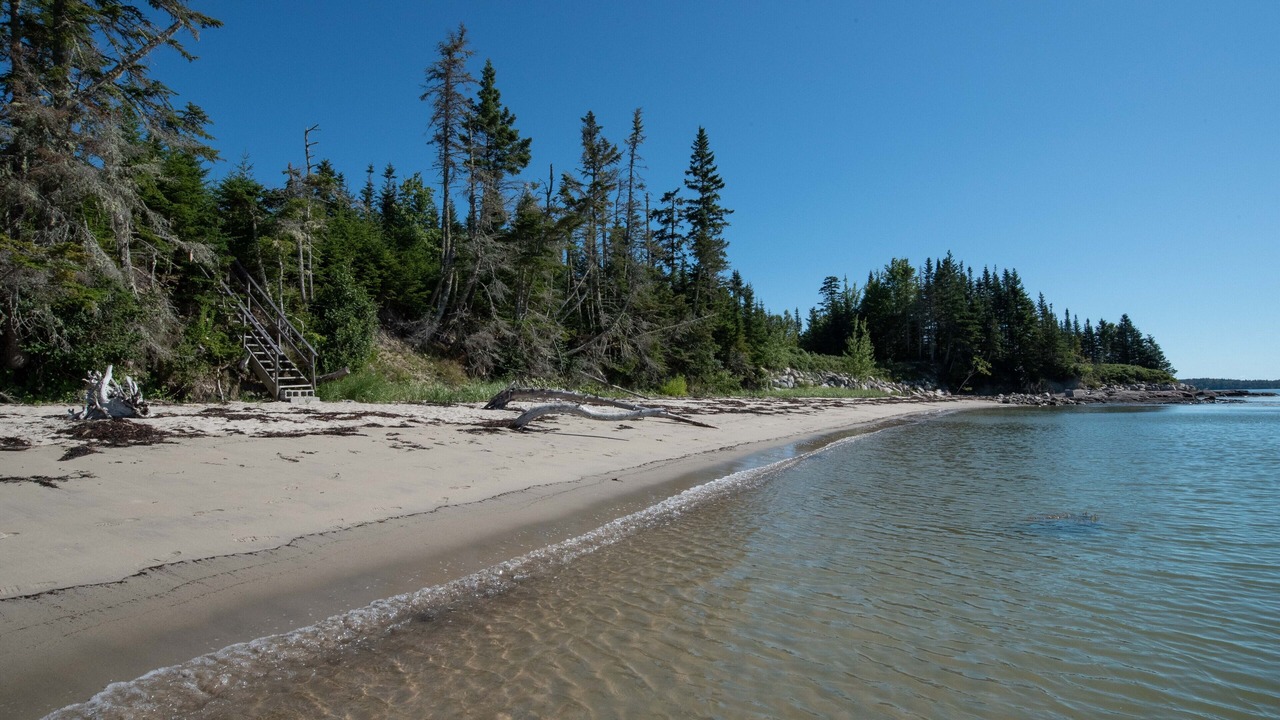 Photo of Others in Milbridge