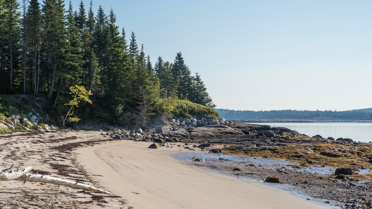 Photo of Others in Milbridge