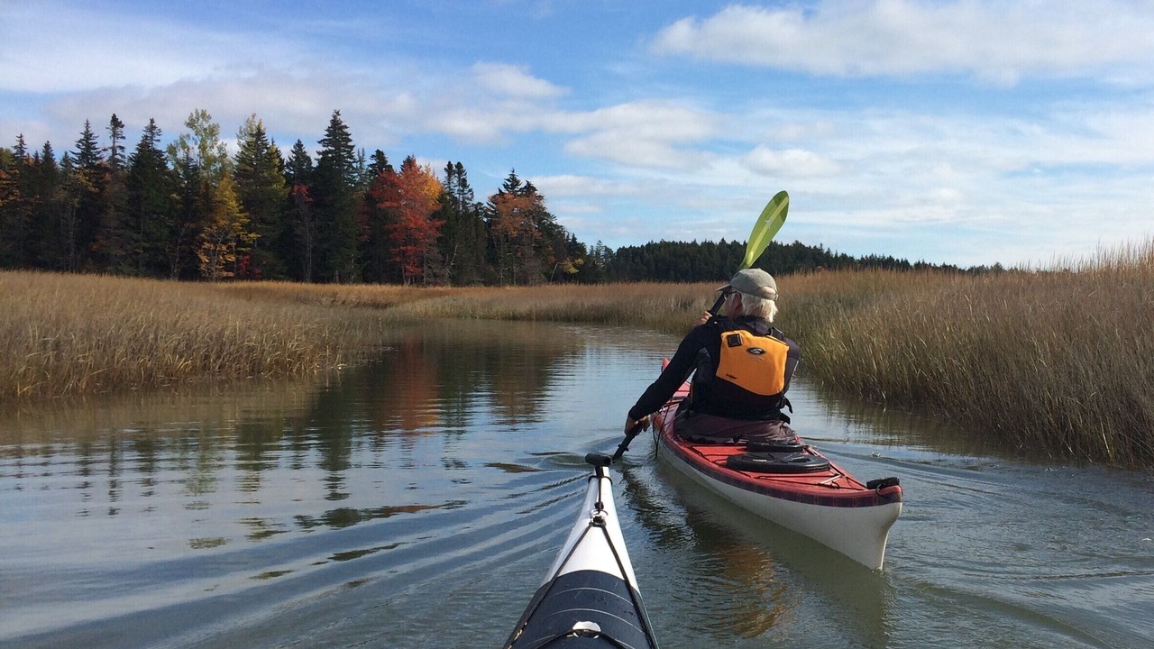 Photo of Others in Milbridge